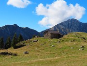 Lago di Pietra Quadra (2116 m)-prima neve in bella compagnia dalle Baite di Mezzeno-29sett25 - FOTOGALLERY